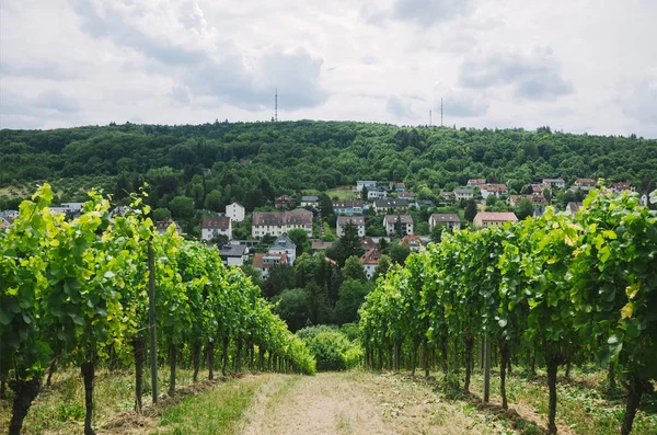 Dorf — Stockfoto