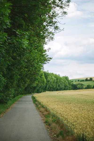 Straße zwischen Wald und Feld in Würzburg — Stockfoto