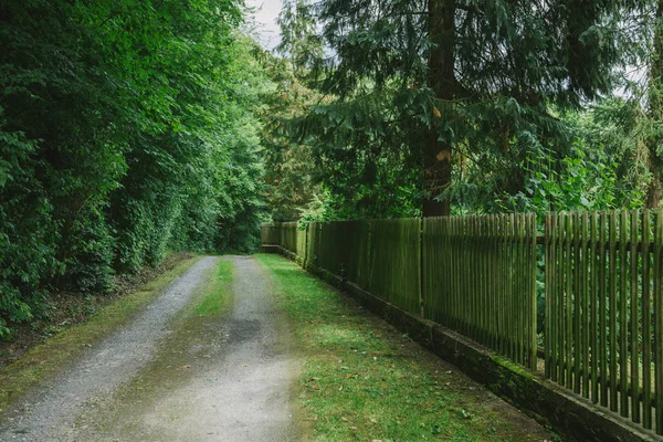 Route rurale près de la clôture en bois et des arbres à Wurzburg, Allemagne — Photo de stock