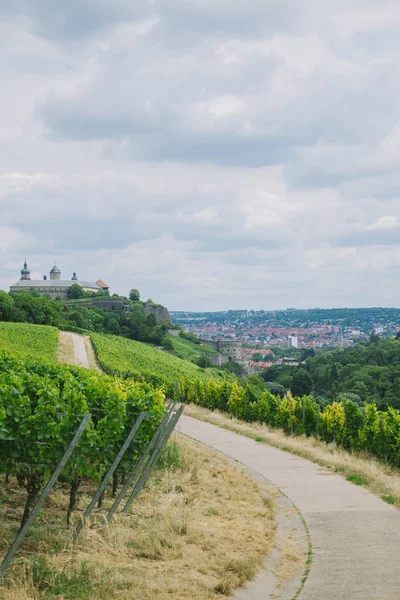 Ländlicher Raum — Stockfoto