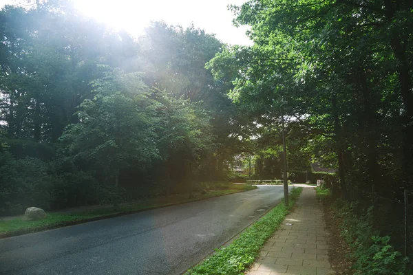 Road between trees under sunlight in Hamburg, Germany — Stock Photo