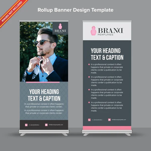 Kurumsal karanlık ve aydınlık Rollup Banner gri