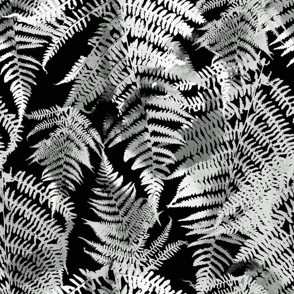 Seamless Pattern Grey Fern Leaves Black Background — Stock Photo, Image