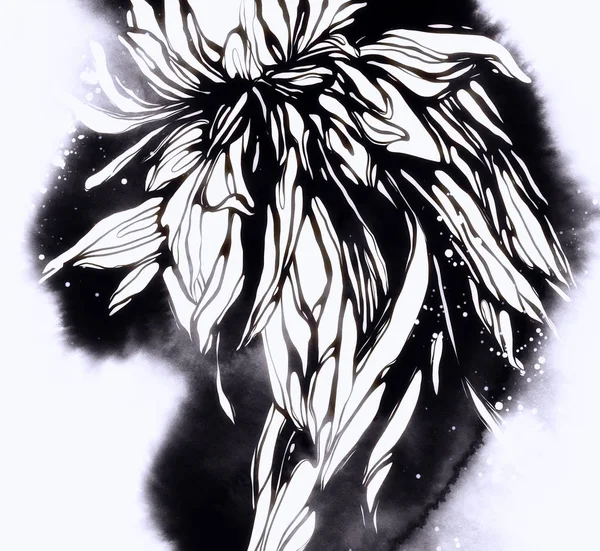 抽象花 类似枯萎的日本菊花 — 图库照片