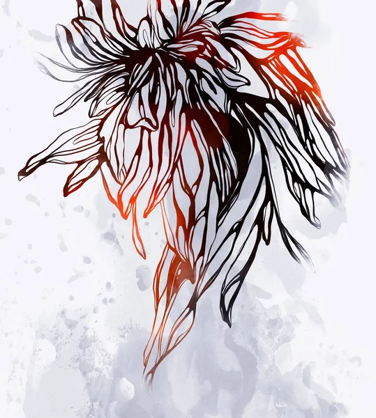 Абстрактный Цветок Похожий Увядший Японский Хризантем — стоковое фото