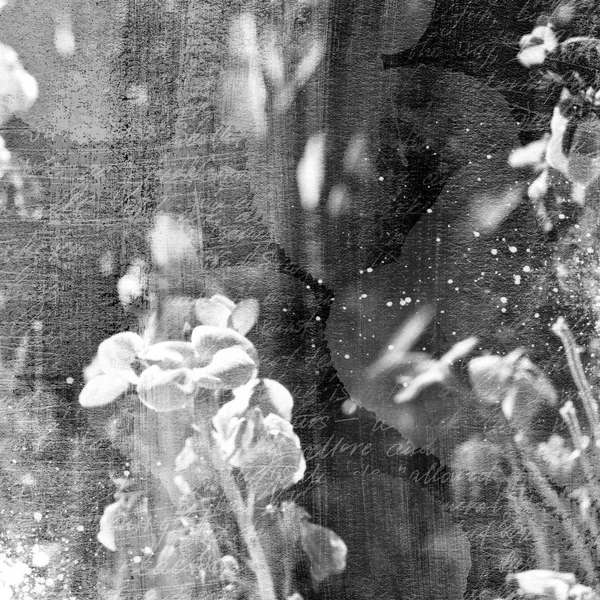 Zwart Wit Foto Van Herfst Oude Verloren Brieven Herbarium Met — Stockfoto