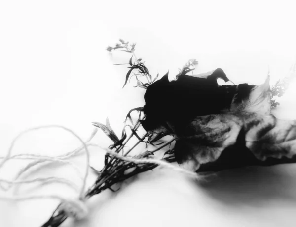 Csokor Fekete Virágok Levelek Elszigetelt Fehér Háttér Makró — Stock Fotó