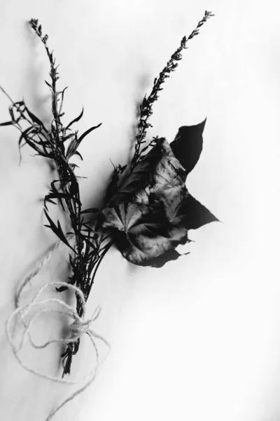 Bouquet of black flowers and leaves isolated on white background, close-up