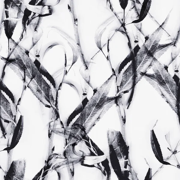 Скановані Осінні Гілки Монохромний Безшовний Візерунок — стокове фото