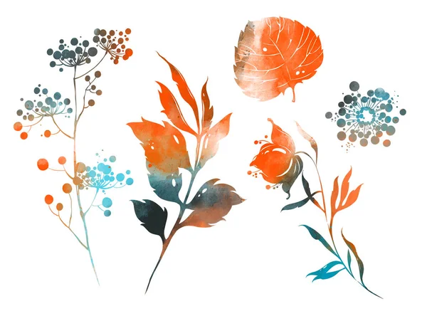 Conjunto Flores Folhas Ervas Imagem Digital Desenhada Mão Com Textura — Fotografia de Stock