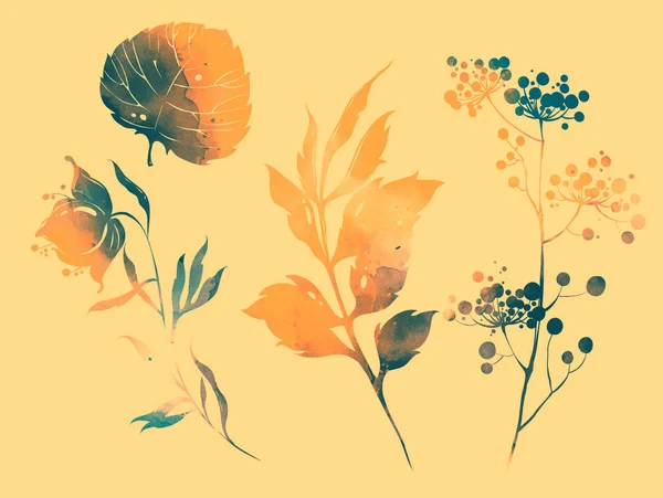 Set Fiori Foglie Erbe Disegno Digitale Disegnato Mano Con Texture — Foto Stock