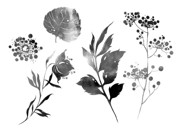 Conjunto Flores Hojas Hierbas Cuadro Digital Dibujado Mano Con Textura — Foto de Stock