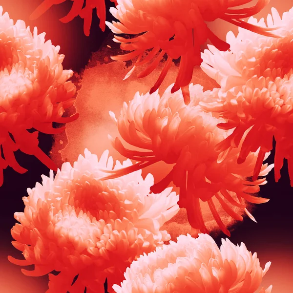 Japonský Chrysanthemum Barva Živých Korálů Foto Akvarel Texturu Mix Opakujte — Stock fotografie