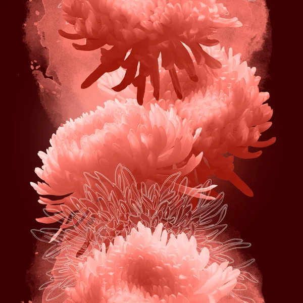 Chryzantema Japoński Kolor Życia Koralowców Zdjęcie Akwarela Tekstury Mix Powtórz — Zdjęcie stockowe