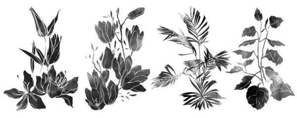 Prosty Monochromatyczny Czarno Biały Szkic Kwiatów Ziół — Zdjęcie stockowe