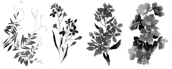 Monochromatyczny Czarno Biały Zestaw Kwiatów Ziół — Zdjęcie stockowe
