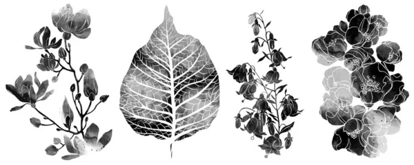 Monochrome Black White Set Flowers Herbs — Stock Photo, Image
