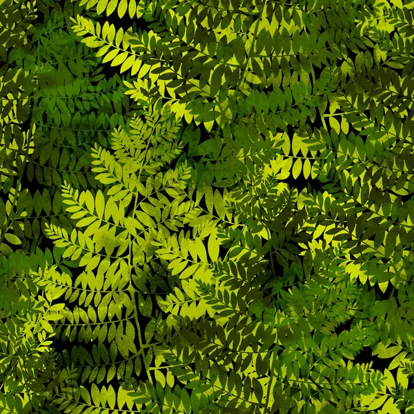 Imprints Fern Leaves Seamless Pattern Digital Hand Drawn Picture Watercolour — Stock Photo, Image