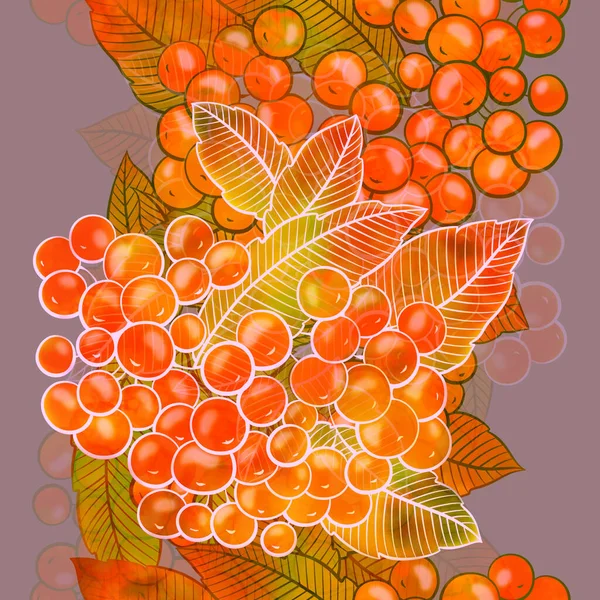 Rowan Berries Leaves Seamless Pattern Digital Lines Hand Drawn Picture — Stock Photo, Image