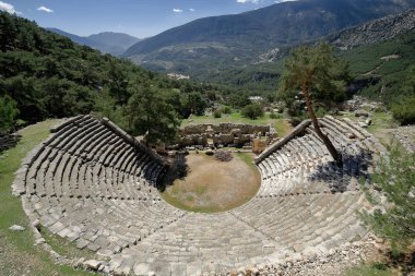 Koltuk 20 satır ve 6 rafları 1st.century için M.ö. 17-18 satırlarından büyüyen büyük çam ağacı ile hillside kesme Helenistik tiyatro çıktık. Antik kenti Arykanda-Aykiricay-Lykia-Türkiye.