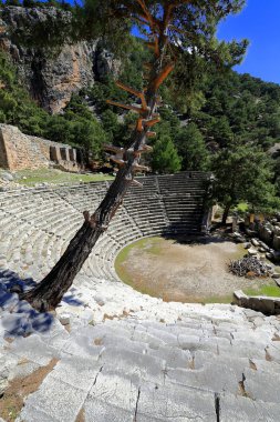 Koltuk 20 satır ve 6 rafları 1st.century için M.ö. 17-18 satırlarından büyüyen büyük çam ağacı ile hillside kesme Helenistik tiyatro çıktık. Antik kenti Arykanda-Aykiricay-Lykia-Türkiye.