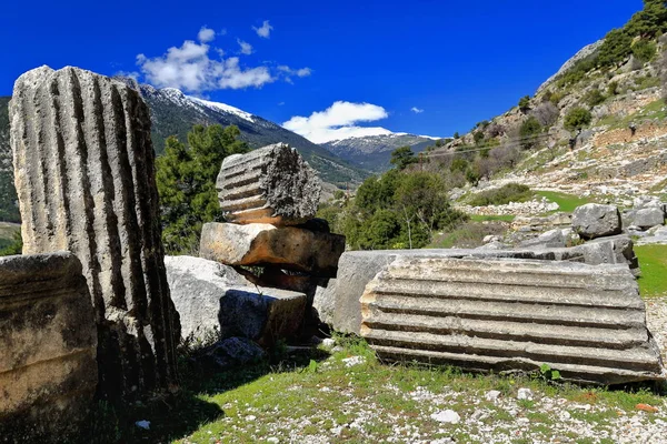 Żłobkowane Kolumny Jońskie Wały Upadły Podłogę Ruiny Necropolis Powyżej Kompleksu — Zdjęcie stockowe