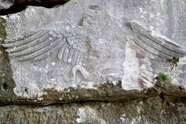 Kartal bir mağara-mezar duvar Alcetas Türbesi bölgede gri taş oyma yılan. Termessos Antik şehir Güllük Dagi Milli Parki veya Ulusal Park-Pisidya-Antalya ili-Türkiye.