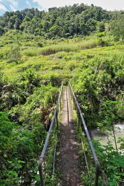 Puente Barandilla Tubos Hormigón Acero Que Atraviesa Arroyo Que Drena —  Fotos de Stock