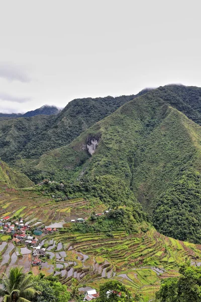 Klaster Miejscowości Batad Część Ryż Tarasy Filipin Cordilleras Unesco Światowego — Zdjęcie stockowe