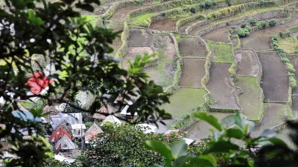 Batad Byn Kluster Del Rice Terraces Philippine Cordilleras Unesco Världsarv — Stockfoto