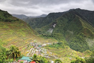 0186 Filipin Kordilleras Pirinç Terasları 'nın bir parçası olan Batad köyü, kültürel manzara kategorisinde UNESCO Dünya Mirası Bölgesi. Banaue-Ifugao bölgesi-Cordillera bölgesi-Luzon adası.