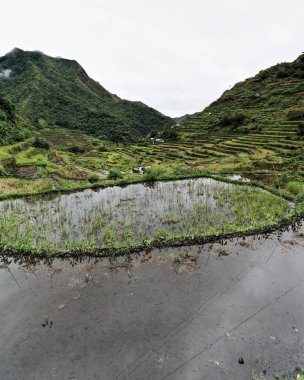 0184 Filipin Kordilleras Pirinç Terasları 'nın bir parçası olan Batad Köyü, kültürel manzara kategorisinde UNESCO Dünya Mirası Bölgesi. Banaue-Ifugao bölgesi-Cordillera bölgesi-Luzon adası.