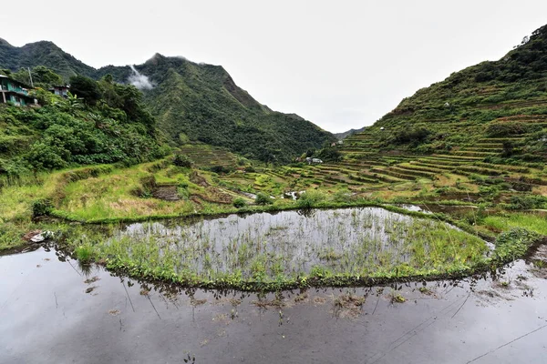 0183 Batadbyklustret Rice Terraces Philippine Cordilleras Unescos Världsarvslista Kategorin Kulturlandskap — Stockfoto