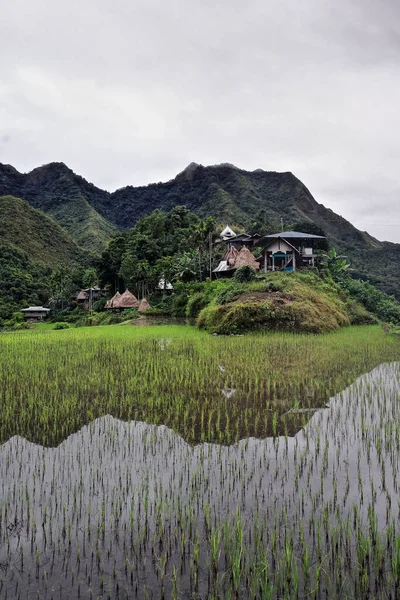 Batad Village Cluster Part Rice Terraces Philippine Cordilleras Unesco World — Stock Photo, Image