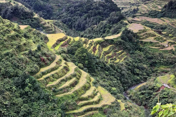 0188 Das Banaue Dorf Teil Der Reisterrassen Der Philippinischen Cordilleras — Stockfoto