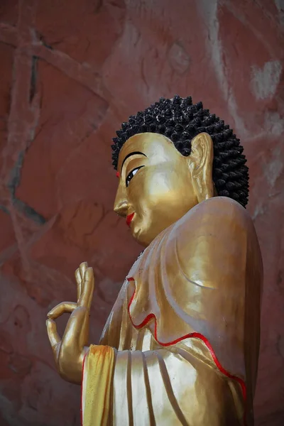 Grande Statua Dorata Nel Buddha Piedi Nella Sala Buddista Tibetana — Foto Stock