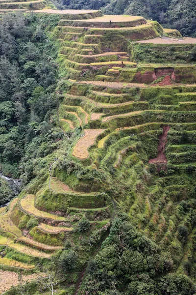 0189 Banaue Byns Klusterdel Rice Terraces Philippine Cordilleras Mästerverk Det — Stockfoto