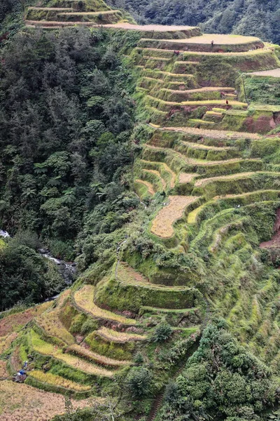 0190 Clusterul Satului Banaue Parte Teraselor Orez Din Cordilleras Filipinez — Fotografie, imagine de stoc