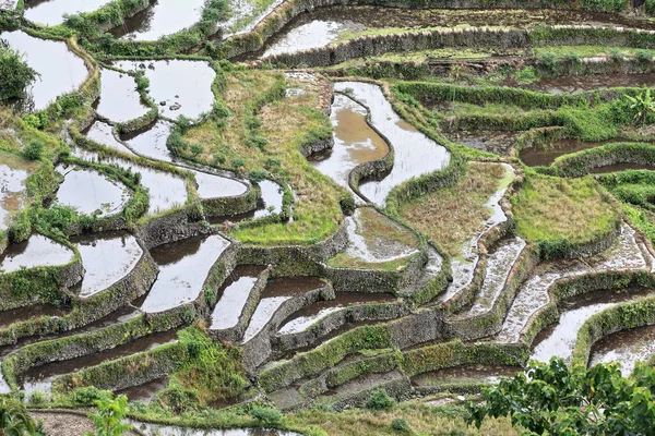 Batad Byn Kluster Del Rice Terraces Philippine Cordilleras Unesco Världsarv — Stockfoto