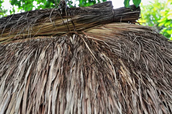 Detailně Doškovou Střechu Palmových Listí Bradavic Ulog Olog Spací Chatě — Stock fotografie