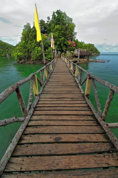 Bambus Und Holzplanken Fußgängerbrücke Mit Geländern Aus Baumstämmen Und Gelb — Stockfoto