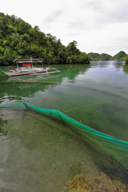 Latasan adasının güneyindeki bir körfeze demirlemiş beyaz dengeli eşcinsel. Suda yeşil ağ ve su altında yüzme havuzlarını gösteren taş duvarlar var. Sipalay-Zenciler Batı Visayas-Filipinler.