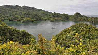 Filipinli dengeler ya da bangkalar Latin adasının güneyinde, şeffaf yeşil suları ve arka planda turistik tatil beldeleri olan bir körfeze demirlediler. Sipalay-Zenciler Batı Visayas-Filipinler.