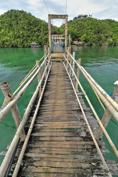 Trestle Suspension Double Footbridge Bamboo Wooden Planks Tree Logs Railing — Stock Photo, Image