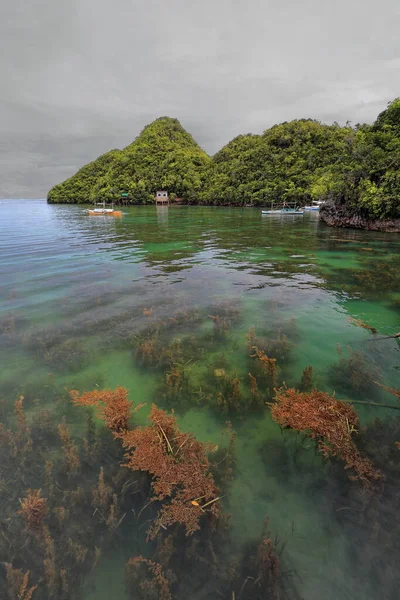 在Tinagong Dagat岛和沿海海藻上的大陆坡房屋之间的海湾停泊的Balangay或Bangka船覆盖了海底 Sipalay Negros Occidental Western Visayas Philippines — 图库照片