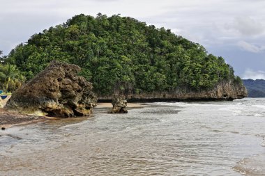 Balta girmemiş kireçtaşı burunlu orman, denize batıyor ve Sugar Beach-Nauhang barangay 'in güney ucunda kayalık çıkıntılar oluşuyor. Sipalay-Zenciler Batı Visayas-Filipinler.