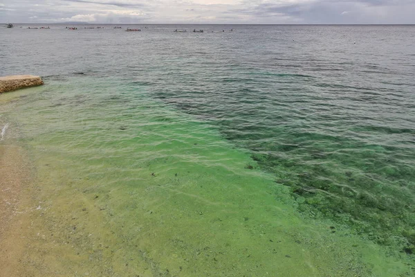Oslob 'lu Tan-awan barangay balıkçıları balina köpekbalıklarını elle besliyor ve çok istilacı olan hayvanları izlemek için kayıklarıyla turistleri alıp aralarında şnorkelle yüzüyorlar. Cebu Adası-Filipinleri.