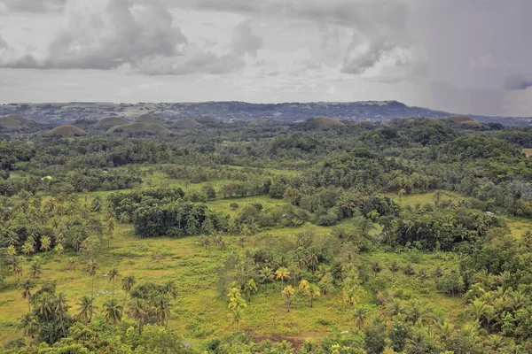 Choklad Hills Geologiska Formation Rullande Terräng Hoycock Kullar Koniska Formade — Stockfoto