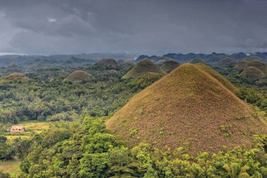 Çikolata Tepeleri 'nin jeolojik oluşum alanı saman tepeleri koni şeklinde kireç taşı tepecikleri çimenler kuru mevsimde çikolatayı kahverengiye çevirir. Bohol Adası-Merkezi Visayas-Filipinler