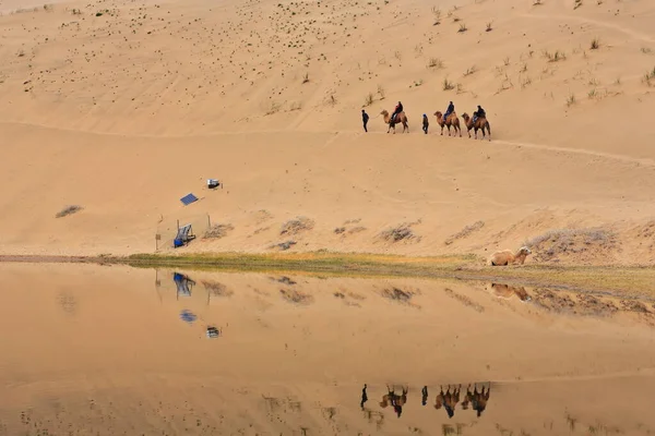 Lake Badain Reflects Small Tourist Group Starting Ride Bactrian Camels — Stock Photo, Image